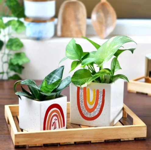 Ceramic Planter Duo Gift Set 2