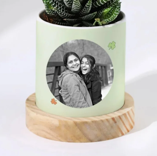 Personalized Haworthia Succulent Planter 2