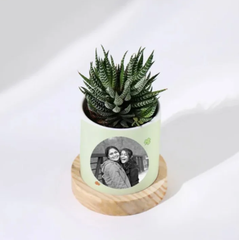 Personalized Haworthia Succulent Planter 3