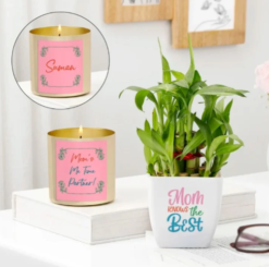 Personalized indoor plant gift set for home decor