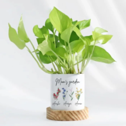 Personalized money plant gift for mom in decorative planter