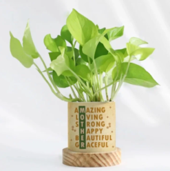 Personalized money plant gift for mom in decorative planter