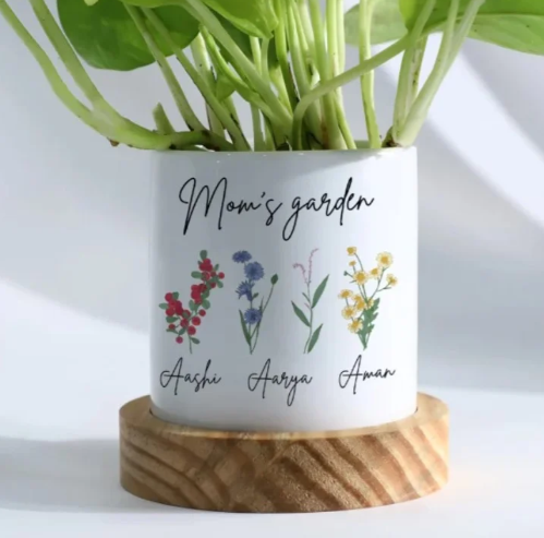 Personalized Money Plant Gift for Mom 2