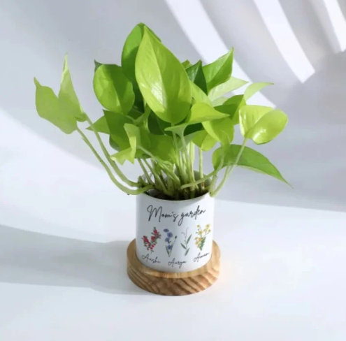 Personalized Money Plant Gift for Mom 3