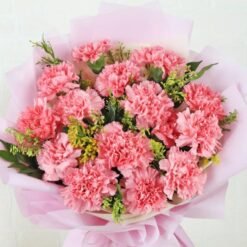 Carnations