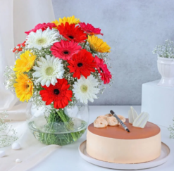 colorful gerberas bouquet with butterscotch cake combo for birthday and celebration