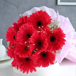 Colorful gerbera bouquet for birthday and celebration gift