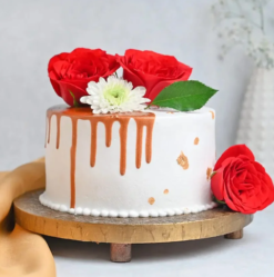 vanilla drip cake with smooth creamy layers and elegant drip design