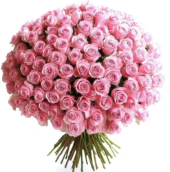100 Pink Roses Love Bouquet