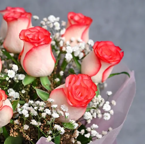 Bloom & Bliss Cake Celebration Combo 2