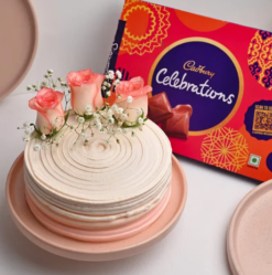 bloom cake with cadbury chocolate delight combo for gifting