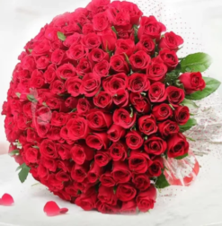 Crimson red rose bouquet for romantic gift and anniversary
