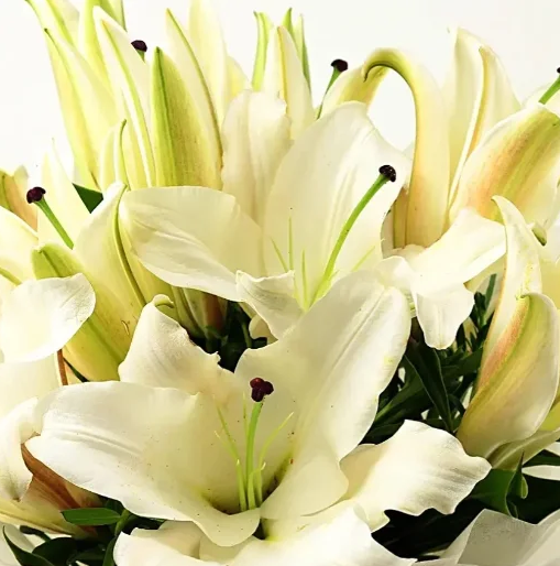 Elegant White Lily Luxe Bouquet 2
