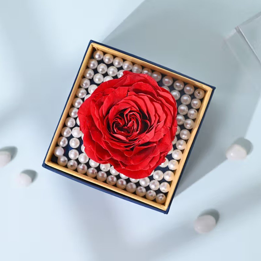 Eternal Bloom Preserved Rose 1