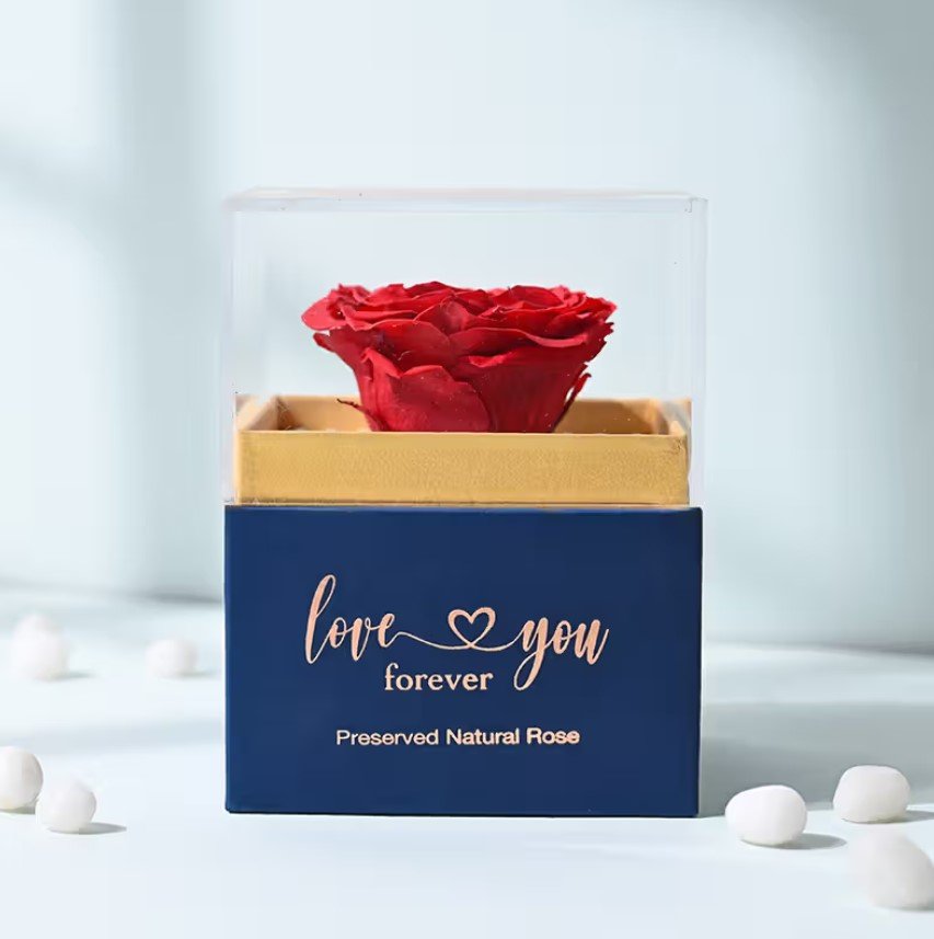 Eternal Bloom Preserved Rose 2