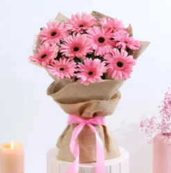 Fresh pink gerbera flower bouquet beautifully arranged for gifting