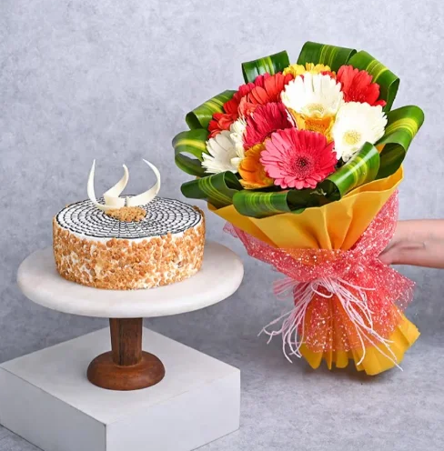 Gerbera Bloom Cake Combo Online gerbera flower cake combo with bright bouquet and delicious cake