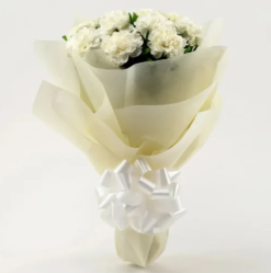 Majestic carnation bloom bouquet for birthday and celebration gift
