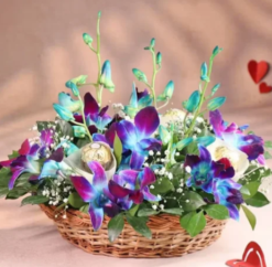 Orchid combo gift for romantic occasion and celebration