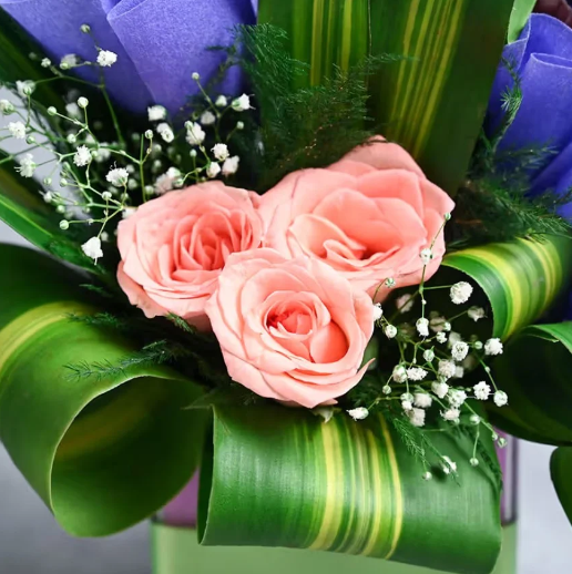 Rose & Choco Love Treat Combo 2