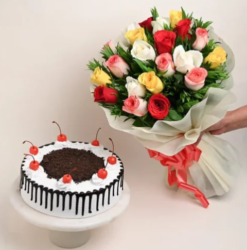 rose elegance with sweet cake combo for romantic gifting