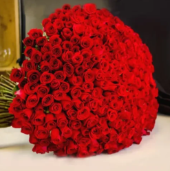 Scarlet red rose bouquet for romantic gift and anniversary