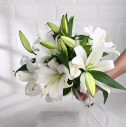 Snowy white flower bouquet for elegant gifting and celebration