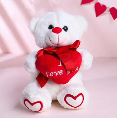 Sweet Embrace Love Surprise Gift Combo 2