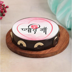 pyaari maa choco elan cake with rich chocolate truffle layers and smooth cream