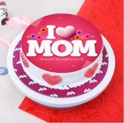 snowveil chocolate drip cake with smooth chocolate dripping and creamy layers